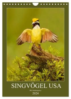 Singvögel USA (Wandkalender 2024 DIN A4 hoch), CALVENDO Monatskalender von birdimagency,  BIA