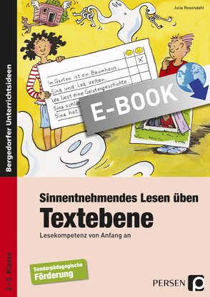 Sinnentnehmendes Lesen üben: Textebene von Rosendahl,  Julia