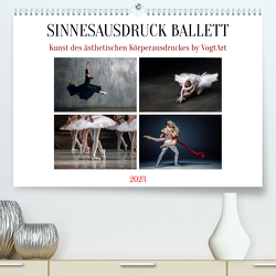 Sinneseindrücke Ballett (Premium, hochwertiger DIN A2 Wandkalender 2023, Kunstdruck in Hochglanz) von VogtArt