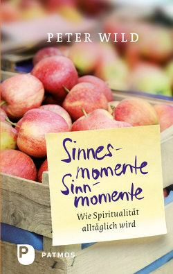 Sinnesmomente – Sinnmomente von Wild,  Peter