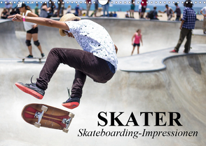 Skater. Skateboarding-Impressionen (Wandkalender 2021 DIN A3 quer) von Stanzer,  Elisabeth