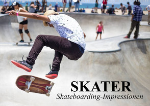 Skater. Skateboarding-Impressionen (Wandkalender 2023 DIN A2 quer) von Stanzer,  Elisabeth