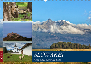 Slowakei – Reise durch das wilde Land (Wandkalender 2021 DIN A2 quer) von Schörkhuber,  Johann