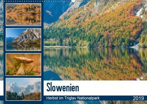 Slowenien – Herbst im Triglav Nationalpark (Wandkalender 2019 DIN A2 quer) von Frauke Fuck,  FF-PhotoArt