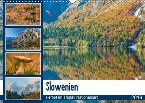 Slowenien – Herbst im Triglav Nationalpark (Wandkalender 2019 DIN A3 quer) von Frauke Fuck,  FF-PhotoArt