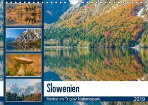 Slowenien – Herbst im Triglav Nationalpark (Wandkalender 2019 DIN A4 quer) von Frauke Fuck,  FF-PhotoArt