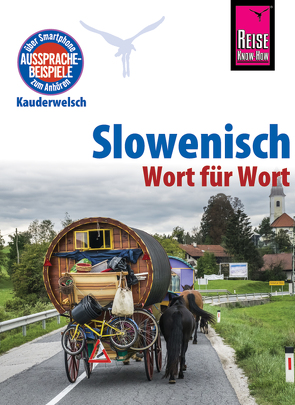 Slowenisch – Wort für Wort von Wiesler,  Alois