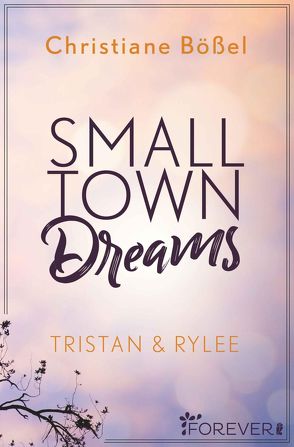 Small Town Dreams (Minot Love Story 2) von Bößel,  Christiane