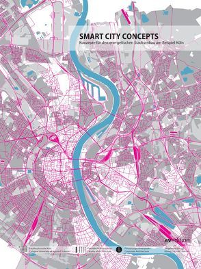 Smart City Concepts von Hanses,  Katrin, Köring,  Dietmar, Schulz,  Jan, Siegemund,  Jochen