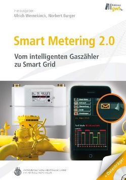 Smart Metering von Burger,  Norbert, Wernekinck,  Ulrich