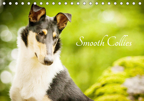 Smooth Collies (Tischkalender 2021 DIN A5 quer) von Längsfeld,  Laura