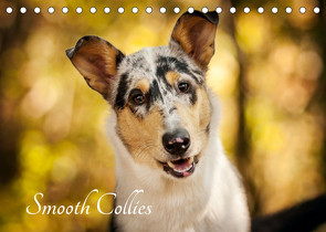 Smooth Collies (Tischkalender 2022 DIN A5 quer) von Längsfeld,  Laura