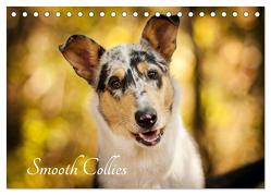 Smooth Collies (Tischkalender 2024 DIN A5 quer), CALVENDO Monatskalender von Längsfeld,  Laura