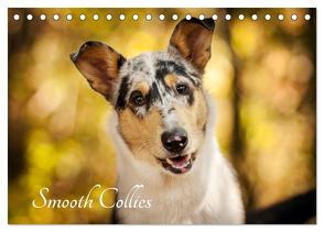 Smooth Collies (Tischkalender 2024 DIN A5 quer), CALVENDO Monatskalender von Längsfeld,  Laura