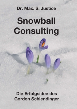 Snowball Consulting von Justice,  Dr. Max. S.