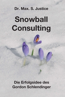 Snowball Consulting von Justice,  Dr. Max. S.