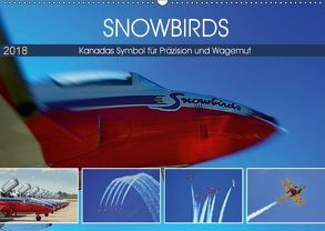 SNOWBIRDS – Kanadas Symbol für Präzision und Wagemut (Wandkalender 2018 DIN A2 quer) von Pfaff,  Hans-Gerhard