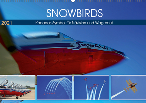 SNOWBIRDS – Kanadas Symbol für Präzision und Wagemut (Wandkalender 2021 DIN A2 quer) von Pfaff,  Hans-Gerhard
