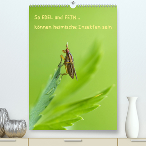 So EDEL und FEIN… können heimische Insekten sein (Premium, hochwertiger DIN A2 Wandkalender 2023, Kunstdruck in Hochglanz) von Berger (Kabefa),  Karin