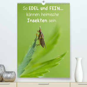 So EDEL und FEIN… können heimische Insekten sein (Premium, hochwertiger DIN A2 Wandkalender 2023, Kunstdruck in Hochglanz) von Berger (Kabefa),  Karin