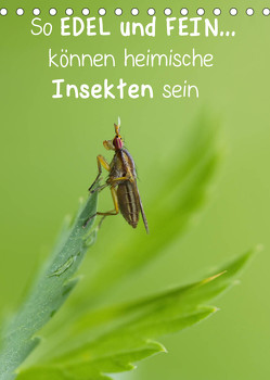 So EDEL und FEIN… können heimische Insekten sein (Tischkalender 2023 DIN A5 hoch) von Berger (Kabefa),  Karin