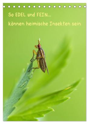 So EDEL und FEIN… können heimische Insekten sein (Tischkalender 2024 DIN A5 hoch), CALVENDO Monatskalender von Berger (Kabefa),  Karin