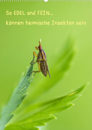 So EDEL und FEIN… können heimische Insekten sein (Wandkalender 2023 DIN A2 hoch) von Berger (Kabefa),  Karin