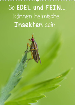So EDEL und FEIN… können heimische Insekten sein (Wandkalender 2023 DIN A2 hoch) von Berger (Kabefa),  Karin