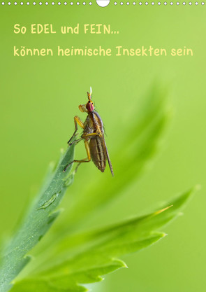 So EDEL und FEIN… können heimische Insekten sein (Wandkalender 2023 DIN A3 hoch) von Berger (Kabefa),  Karin