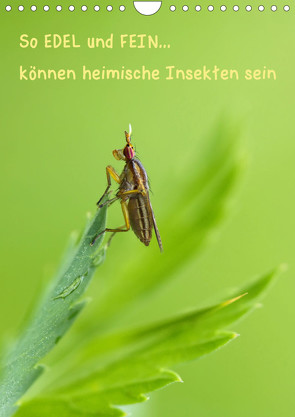 So EDEL und FEIN… können heimische Insekten sein (Wandkalender 2023 DIN A4 hoch) von Berger (Kabefa),  Karin