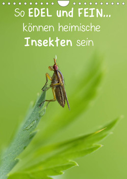 So EDEL und FEIN… können heimische Insekten sein (Wandkalender 2023 DIN A4 hoch) von Berger (Kabefa),  Karin