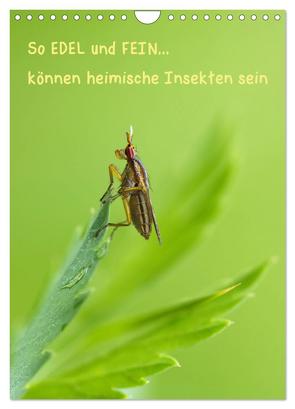 So EDEL und FEIN… können heimische Insekten sein (Wandkalender 2024 DIN A4 hoch), CALVENDO Monatskalender von Berger (Kabefa),  Karin
