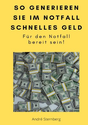 So generieren Sie im Notfall schnelles Geld von Sternberg,  Andre