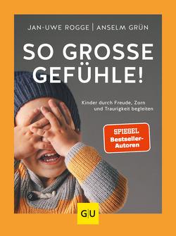 So große Gefühle! von Grün,  Anselm, Rogge,  Jan-Uwe