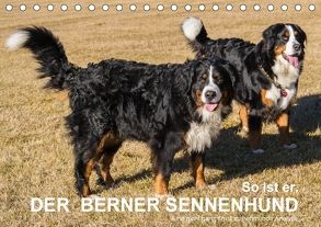 So ist er. Der Berner Sennenhund (Tischkalender 2018 DIN A5 quer) von Hunscheidt,  Hubert