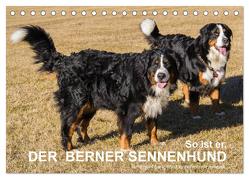 So ist er. Der Berner Sennenhund (Tischkalender 2024 DIN A5 quer), CALVENDO Monatskalender von Hunscheidt,  Hubert