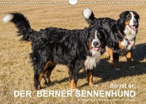 So ist er. Der Berner Sennenhund (Wandkalender 2018 DIN A4 quer) von Hunscheidt,  Hubert