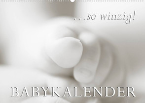 …so winzig – Babykalender (Wandkalender 2023 DIN A2 quer) von W. Lambrecht,  Markus