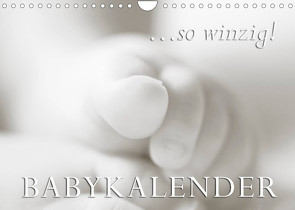 …so winzig – Babykalender (Wandkalender 2023 DIN A4 quer) von W. Lambrecht,  Markus
