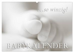 …so winzig – Babykalender (Wandkalender 2024 DIN A2 quer), CALVENDO Monatskalender von W. Lambrecht,  Markus