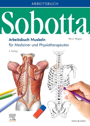 Sobotta Arbeitsbuch Muskeln von Wagner,  Nicole