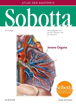 Sobotta, Atlas der Anatomie Band 2 von Paulsen,  Friedrich, Waschke,  Jens