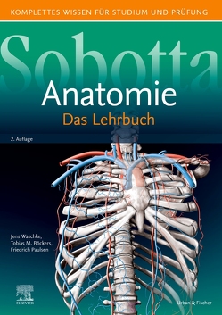Sobotta Lehrbuch Anatomie von Böckers,  Tobias M., Paulsen,  Friedrich, Waschke,  Jens