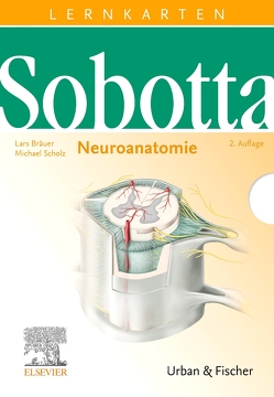 Sobotta Lernkarten Neuroanatomie von Bräuer,  Lars, Scholz,  Michael
