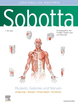 Sobotta Lerntabellen Anatomie Muskeln, Gelenke und Nerven von Paulsen,  Friedrich, Waschke,  Jens