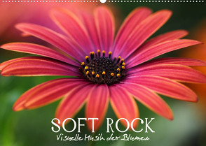 Soft Rock – Visuelle Musik der Blumen (Wandkalender 2023 DIN A2 quer) von Photon (Veronika Verenin),  Vronja