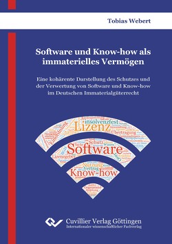 Software und Know-how als immaterielles Vermögen von Webert,  Tobias
