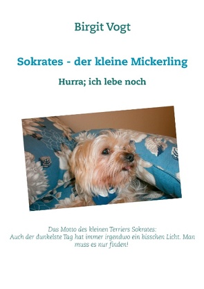 Sokrates – der kleine Mickerling von Vogt,  Birgit