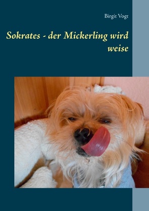 Sokrates – der Mickerling wird weise von Vogt,  Birgit