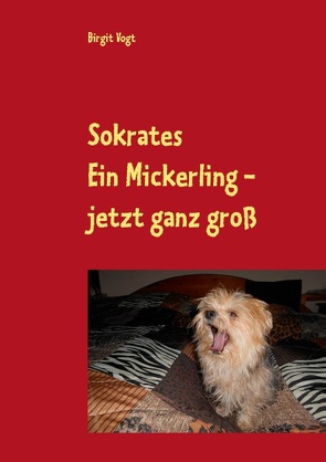 Sokrates Ein Mickerling – jetzt ganz groß von Vogt,  Birgit